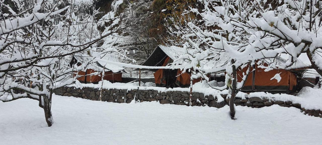 Himtrek Riverside Camps & Hostel Manali Eksteriør billede