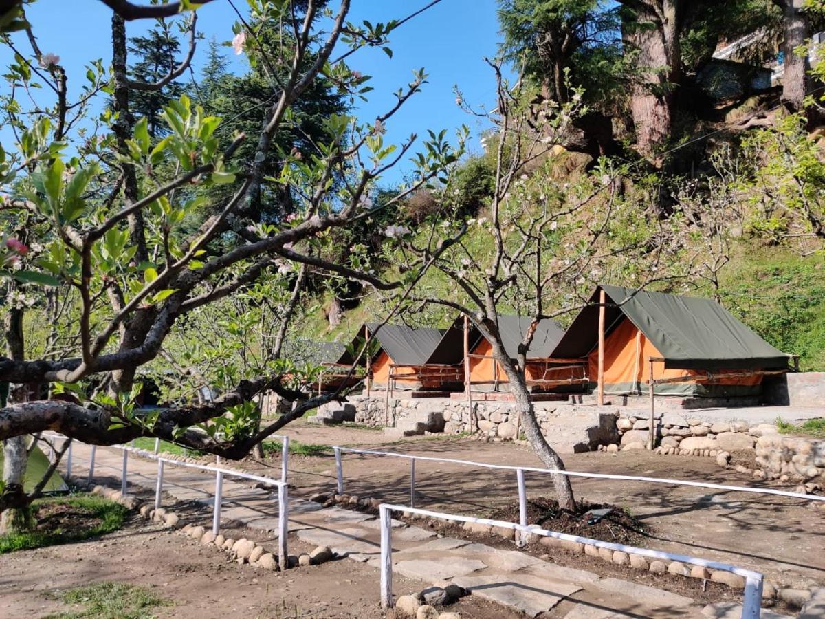 Himtrek Riverside Camps & Hostel Manali Eksteriør billede