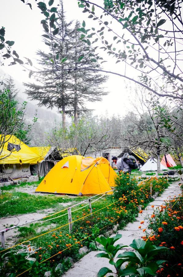 Himtrek Riverside Camps & Hostel Manali Eksteriør billede