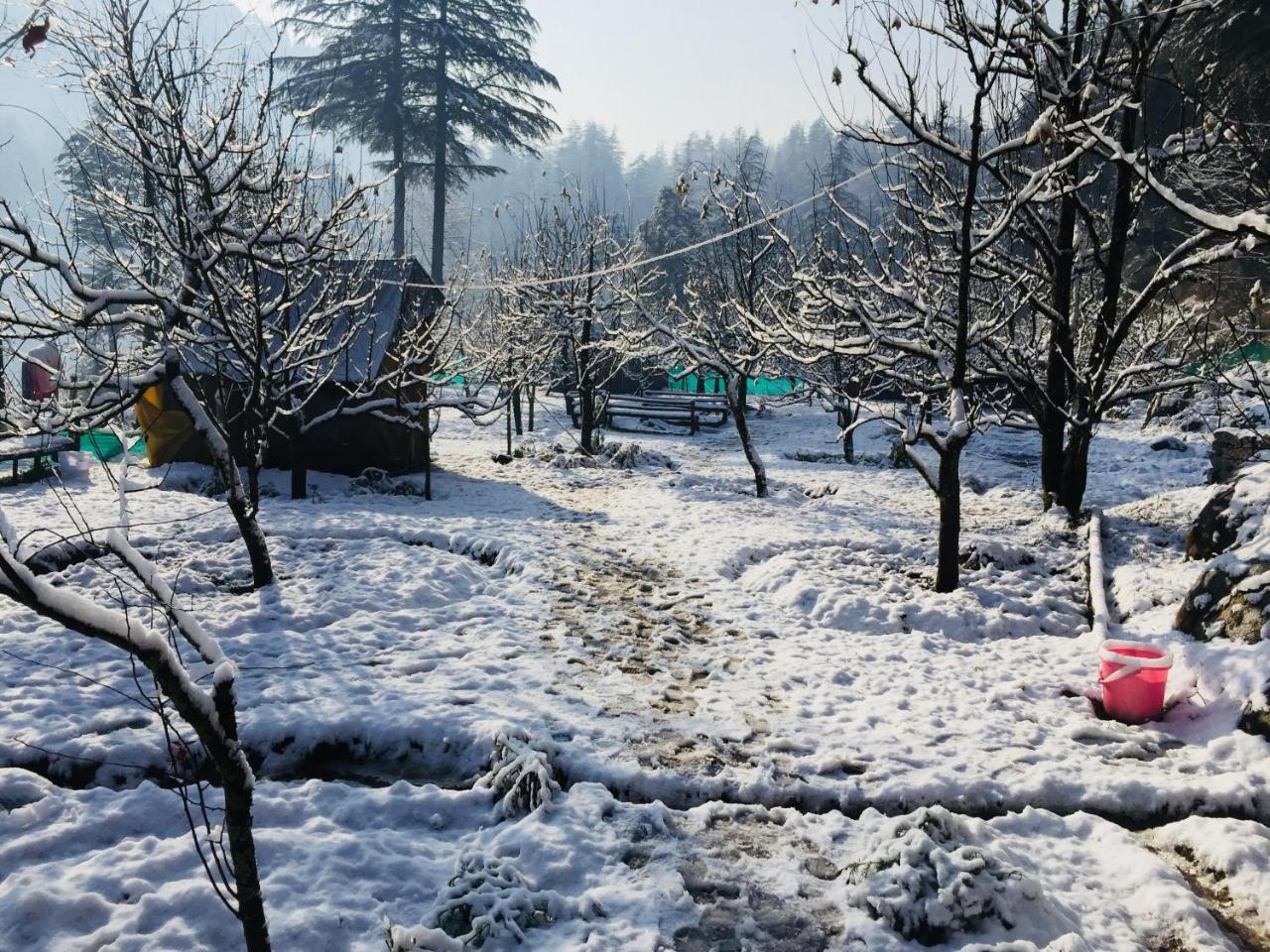 Himtrek Riverside Camps & Hostel Manali Eksteriør billede