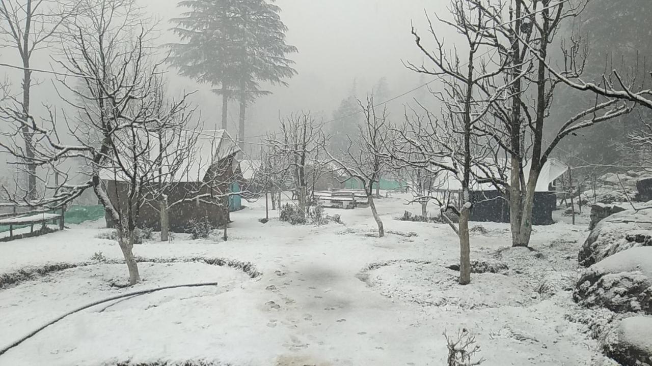 Himtrek Riverside Camps & Hostel Manali Eksteriør billede